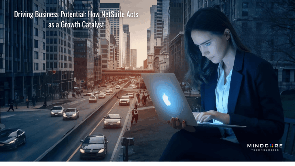 Driving Business Potential: How NetSuite Acts as a Growth Catalyst 5 1747402563995 1